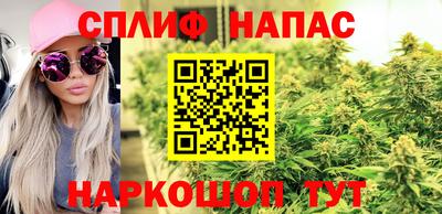 гидра Братск