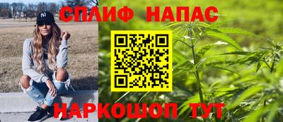 гидра Братск