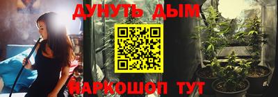 гидра Братск