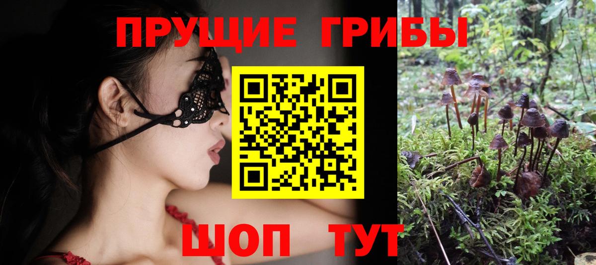 Псилоцибиновые грибы прущие грибы Среднеуральск