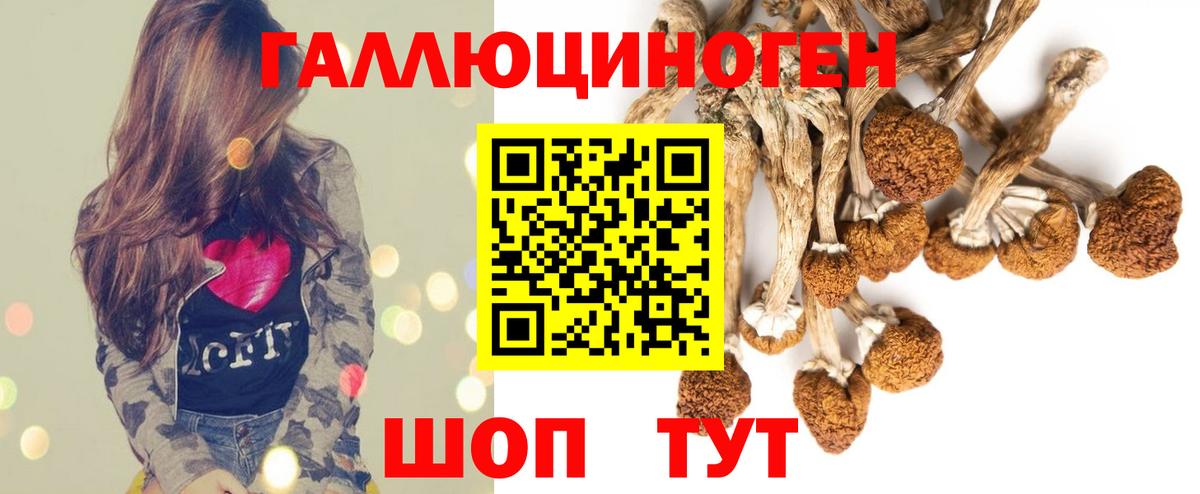 наркотики  Вход с VPN  Псилоцибиновые грибы Psilocybe  Среднеуральск  Псилоцибиновые грибы мицелий 